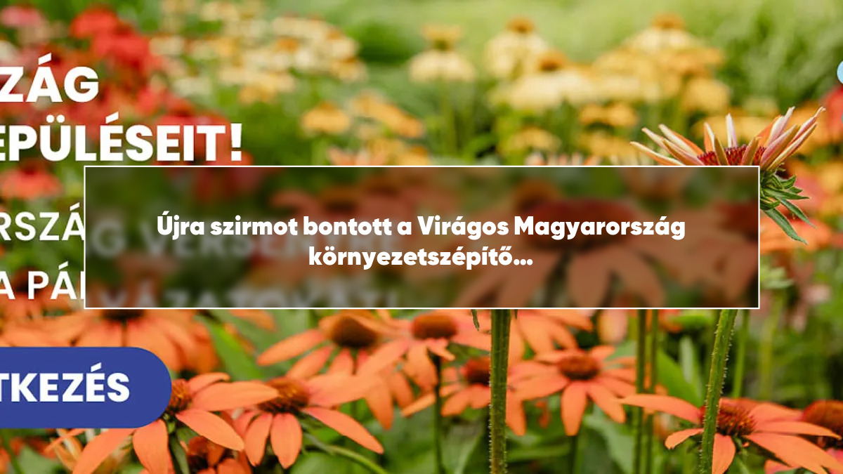 Újra szirmot bontott a Virágos Magyarország környezetszépítő verseny